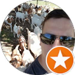 Profile photo of Tony Castelvecchi