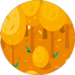 Profile photo of Kim Donehue