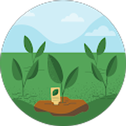 Profile photo of Nikayla Beamon