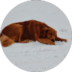 Profile photo of Aaron B.