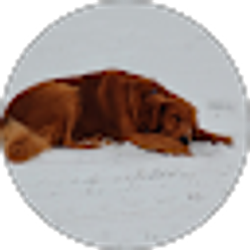 Profile photo of Aaron B.