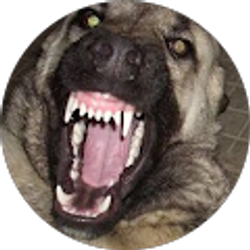 Profile photo of RB ROD