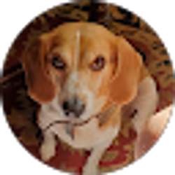 Profile photo of Timothy