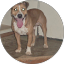 Profile photo of Jacob Kirkendoll