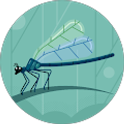 Profile photo of Igor Koutsenko