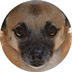 Profile photo of Jade Mercer