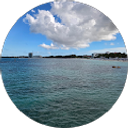 Profile photo of Lee Ann Clark