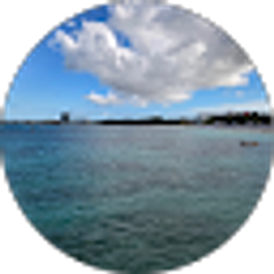 Profile photo of Lee Ann Clark