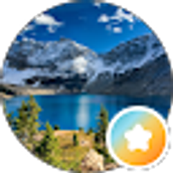 Profile photo of The Review