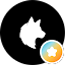 Profile photo of C G