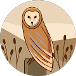 Profile photo of Naomi