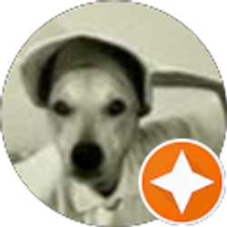 Profile photo of Pendora Stanley