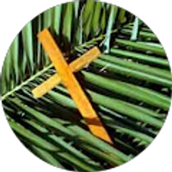 Profile photo of Chris and Christi Olsen