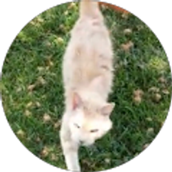 Profile photo of Josie Wright