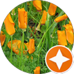 Profile photo of Carolyn Mollenkopf