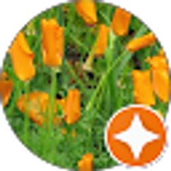 Profile photo of Carolyn Mollenkopf