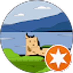 Profile photo of Robin Sievila