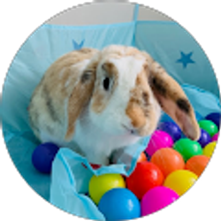 Profile photo of Kayla Riccuitti