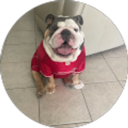 Profile photo of Michael Hernandez