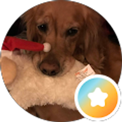 Profile photo of sally glassman