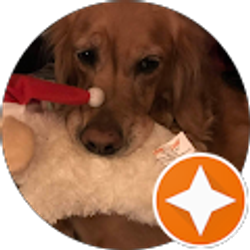 Profile photo of sally glassman