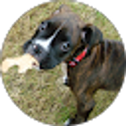 Profile photo of Jordan L.