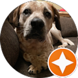 Profile photo of clinton.shaffer shaffer