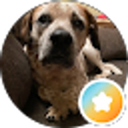 Profile photo of clinton.shaffer shaffer