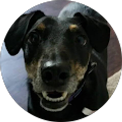 Profile photo of adam strickland