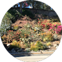 Profile photo of Maribeth Moak