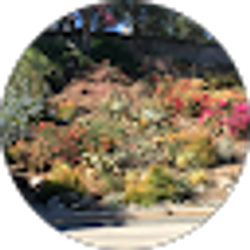 Profile photo of Maribeth Moak