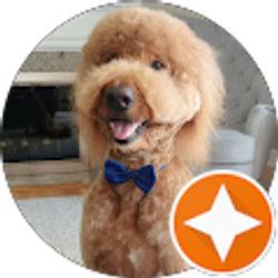 Profile photo of Joellyn Dahlin