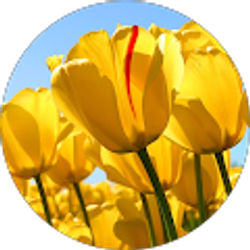 Profile photo of Bri Green