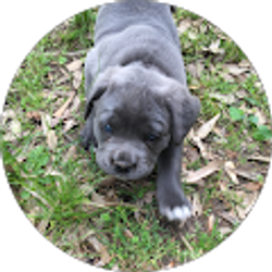 Profile photo of Keasha Burel