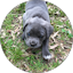 Profile photo of Keasha Burel