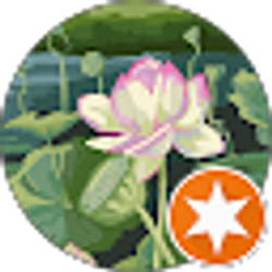 Profile photo of Jana hsu