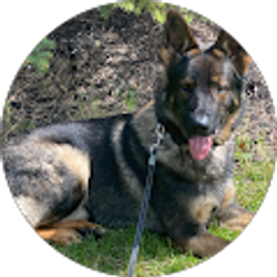 Profile photo of Ana Laura Delgado Hernández