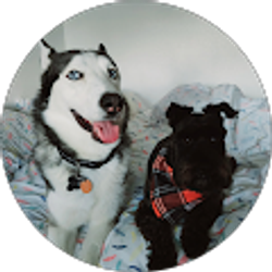 Profile photo of Jorge Madrid