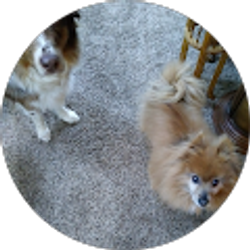 Profile photo of Lynda Poplin