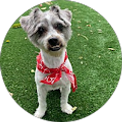 Profile photo of Laurie Mikes