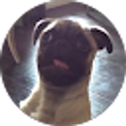 Profile photo of Andrew Diaz