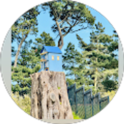 Profile photo of Henry Nii Amponsah