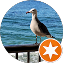 Profile photo of Mike and Alice Perry