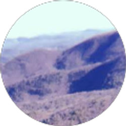 Profile photo of Maryssa Dillard