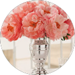 Profile photo of Kelly Boudreaux