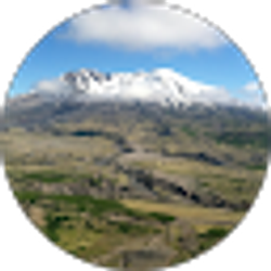Profile photo of Trees