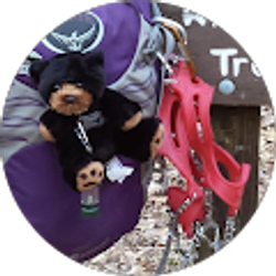 Profile photo of Wandering Wonder Woman