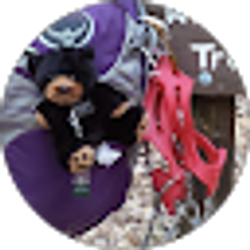 Profile photo of Wandering Wonder Woman