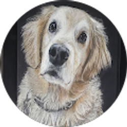 Profile photo of Bev Lowrey