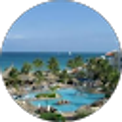 Profile photo of Alyssa Rodriguez